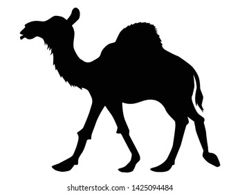 silhouette of camel, animals motive