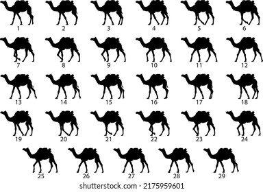 Silhouette Camel Caravan Pasos Caminando por la Animación (Vector)