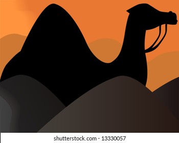 silhouette of a camel in desert	