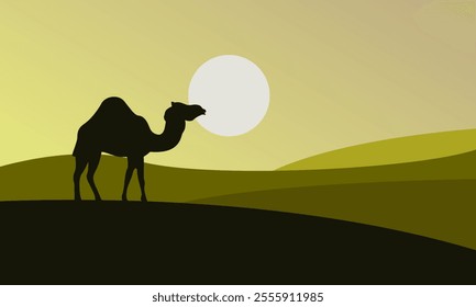 Silhouette of a camel in the desert in the afternoon