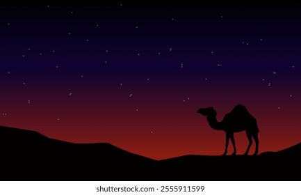 Silhouette of a camel in the desert at night