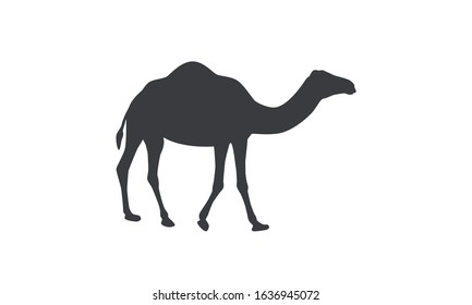 Silhouette of camel. Dromedary, one-humped camel.