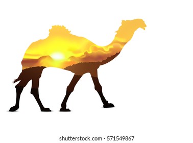 Silhouette of camel with hills of desert. Sunset. Golden tones.