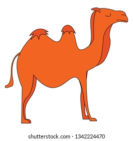 silhouette of a camel with its humps vector color drawing or illustration 