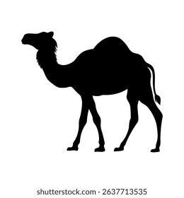 Silhouette of camel illustration vector