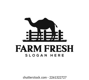 Silhouette camel logo illustration vector. Camel farm logo design