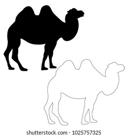 silhouette of a camel on a white background