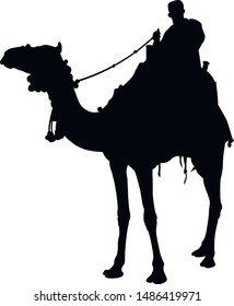 silhouette of a camel rider vector isolated on white background