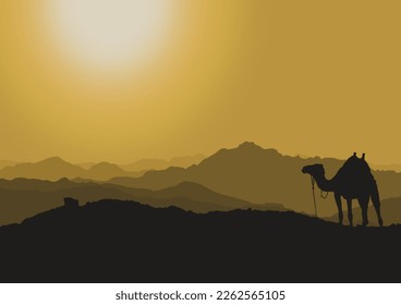 silhouette of a camel at sunset in the desert, vector illustration.