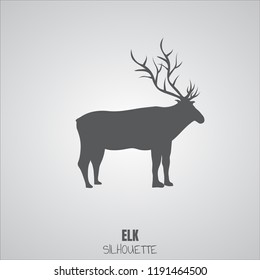 Silhouette of camel. Vector illustration