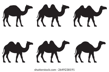 Silhouette Camel Vector Set on white background