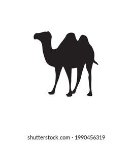 Silhouette of a camel. Vector, Symbol