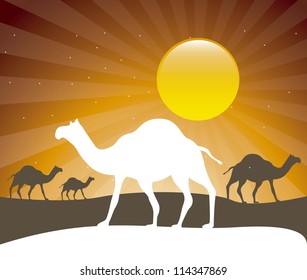 silhouette camels over evening background. vector illustration