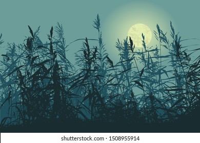 Silhouette of the cane and full moon. vector illustration