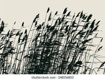silhouette of the cane. vector illustration