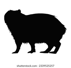 Silhouette of capybara. Vector illustrator.