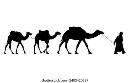 Silhouette of caravan of camels. Driver-berber with three camels dromedary. Vector illustration EPS8