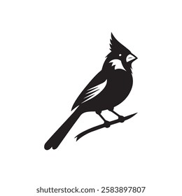 silhouette of a cardinal bird on white