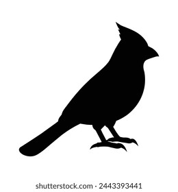 silueta de un cardenal en blanco