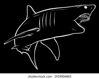 silhouette cartoon vector illustration of white shark design