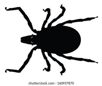 Silhouette of the castor bean tick.