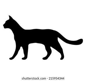 Silhouette Of A Cat 