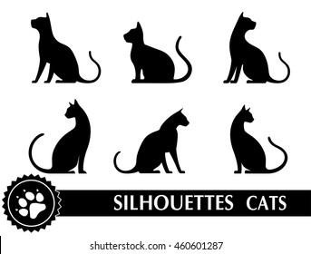 silhouette of cat