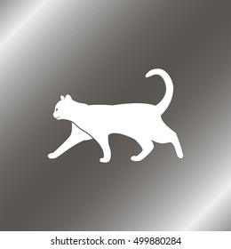 Silhouette of cat.