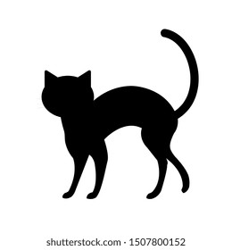 silhouette cat animal of halloween