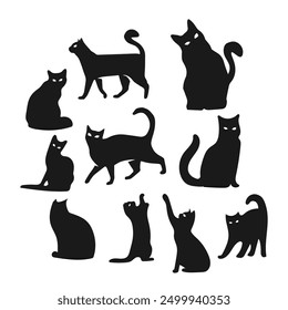 silhouette of a cat with its behavior