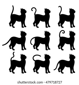 Silhouette of a cat, different tailings. Set black white vector