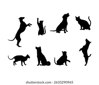 Silhouette of cat and dog on white background