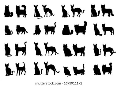 Silhouette Cat Face And Profile. Vector Set Breeds Contour Isolated Illustration.