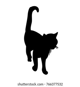 silhouette of a cat, is going