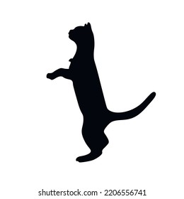 silhouette of a cat jumping