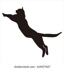 SILHOUETTE OF CAT JUMPING