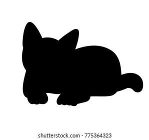 silhouette of the cat lies