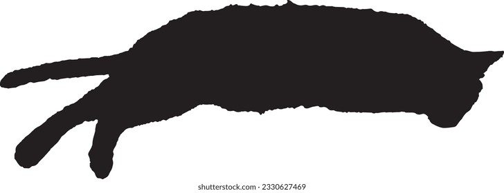 silhouette of cat lying on the floor