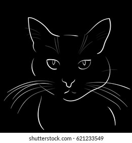 Silhouette of cat on black background. Vector illustration.