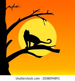 silhouette of a cat on a tree at sunset