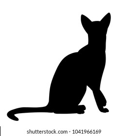  silhouette of a cat on a white background