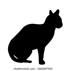 silhouette of a cat on a white background