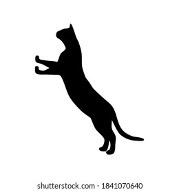 Silhouette of a cat on a white background. Animals Icons. Vector illustration