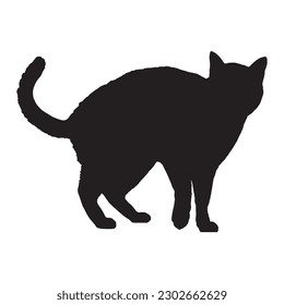 silhouette of a cat on a white background