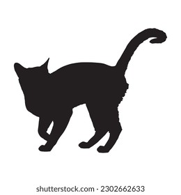 silhouette of a cat on a white background