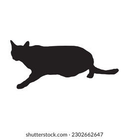 silhouette of a cat on a white background