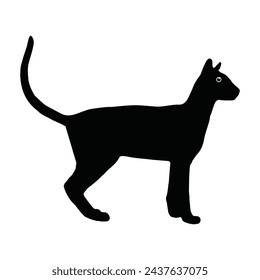 Silhouette of cat on white background. Vector illustration.