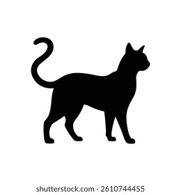 silhouette of a cat on a white background