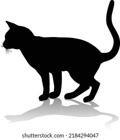 A silhouette cat pet animal detailed graphic