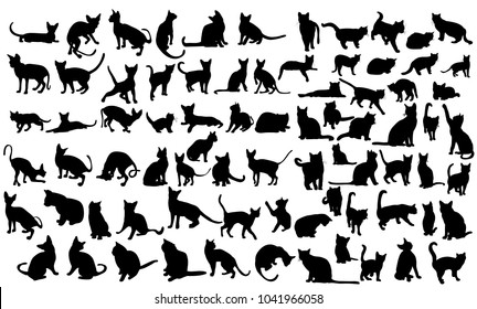  silhouette of a cat, set